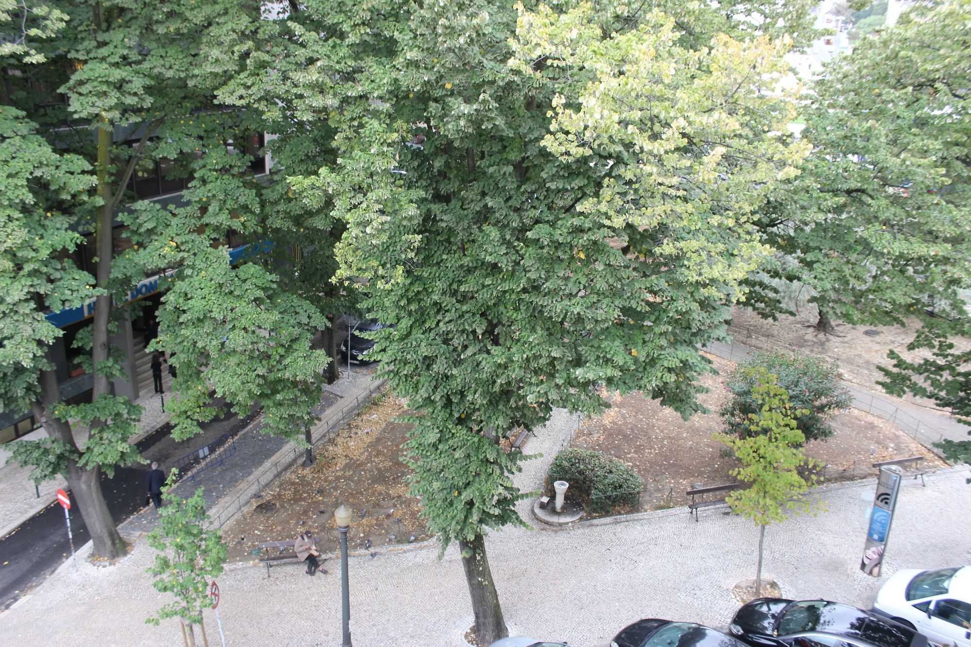 Check Hotel